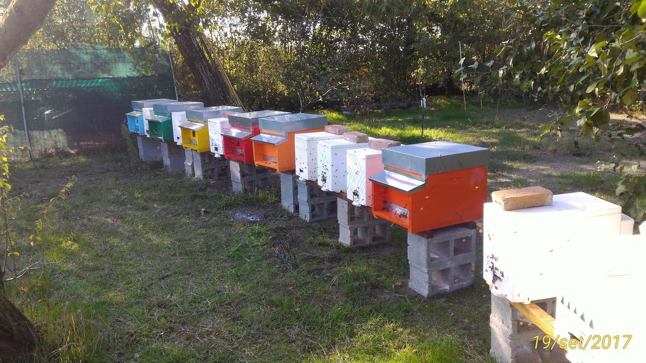 L'Ape In Corte Casa Di Campagna, Via Francigena Stanze E Colazione Vaccarizza Экстерьер фото
