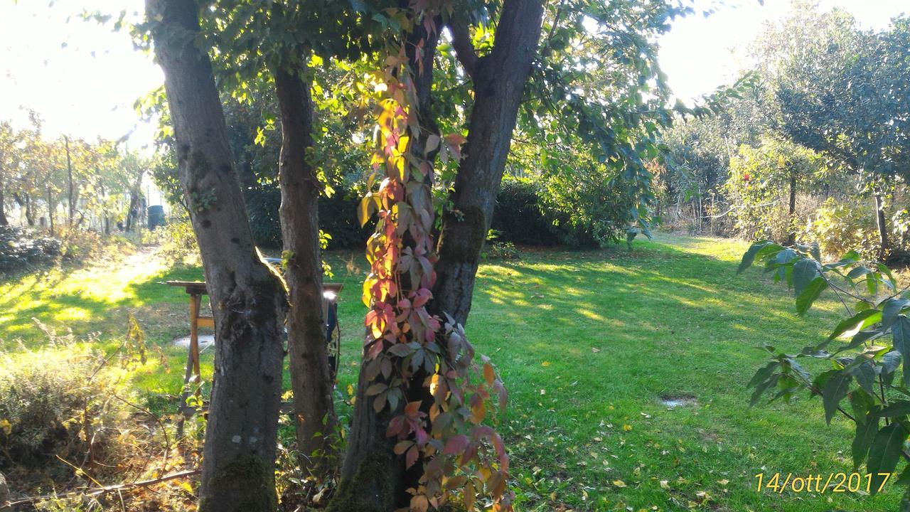 L'Ape In Corte Casa Di Campagna, Via Francigena Stanze E Colazione Vaccarizza Экстерьер фото
