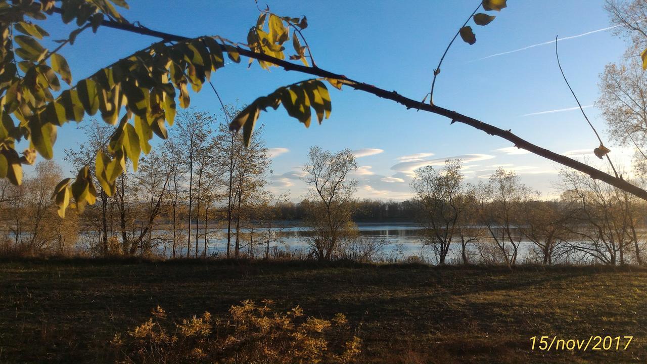 L'Ape In Corte Casa Di Campagna, Via Francigena Stanze E Colazione Vaccarizza Экстерьер фото