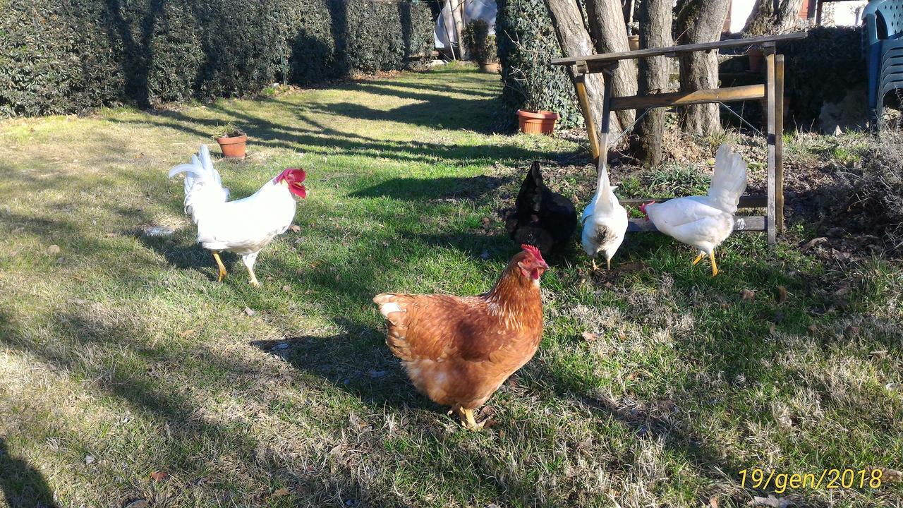 L'Ape In Corte Casa Di Campagna, Via Francigena Stanze E Colazione Vaccarizza Экстерьер фото